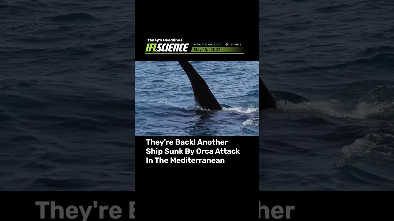 Top #Science Headlines - 15 May 2024 #news