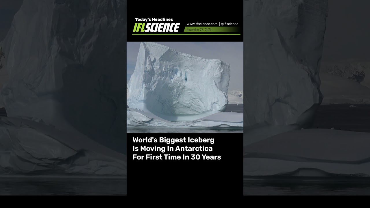 Top #Science Headlines - 27 November 2023 #news