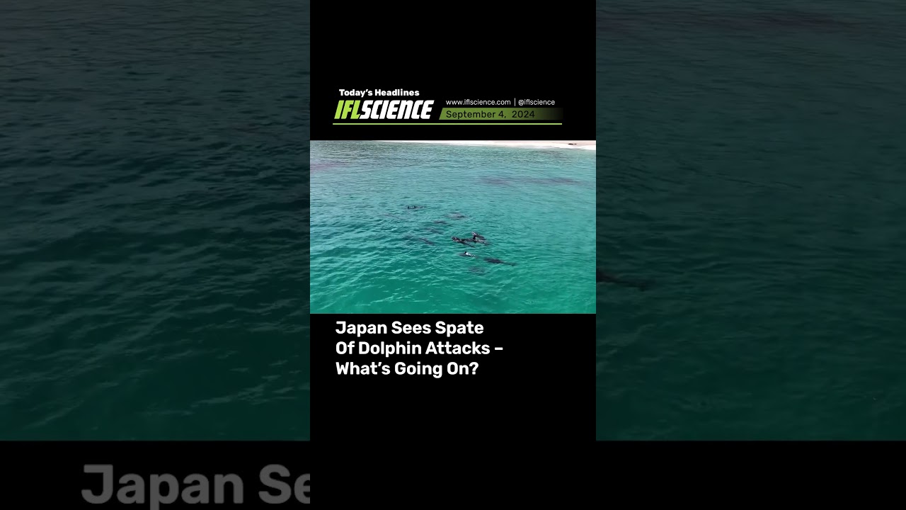 Top #Science Headlines - 4 September 2024 #news #science