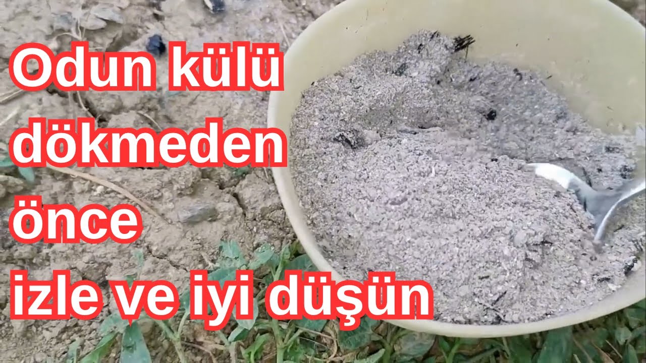 Toprağa odun külü döküyorsan mutlaka izle !!