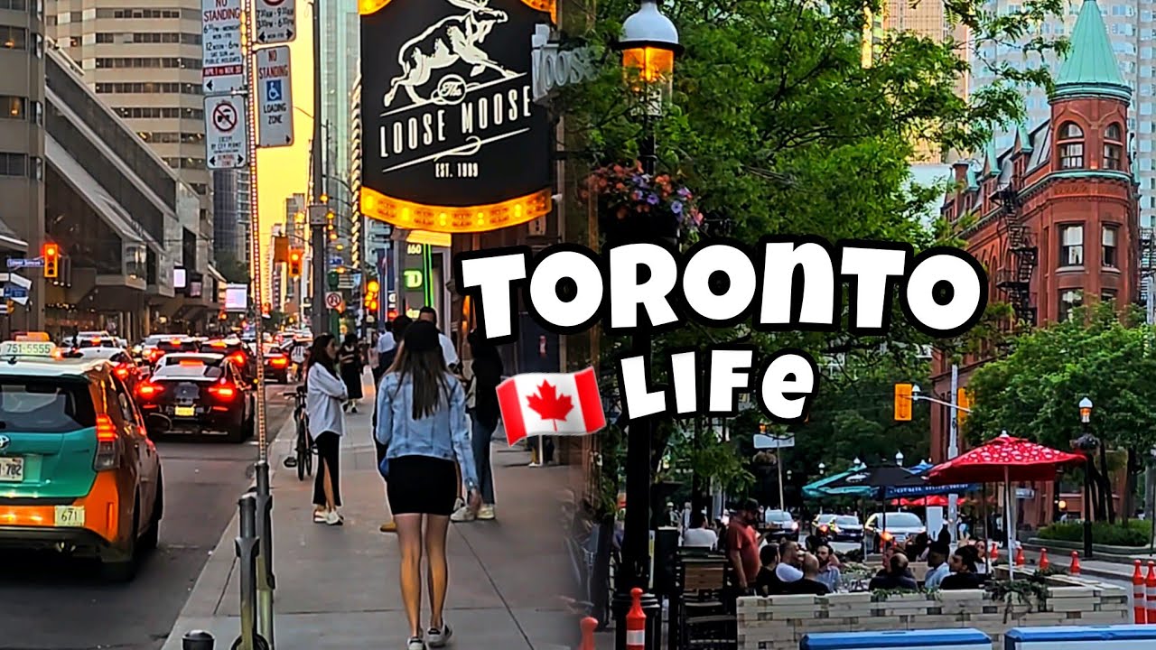 Toronto life Downtown #Toronto #Canada 🇨🇦 4K