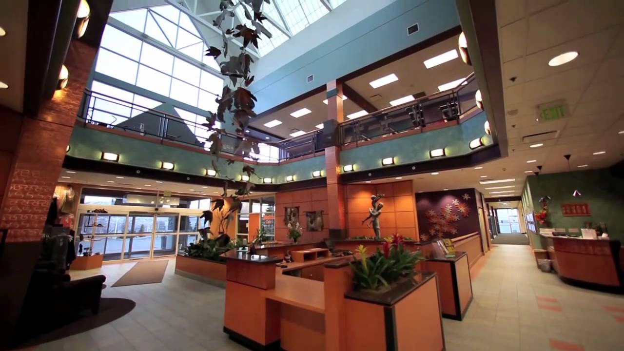 Treehouse Athletic Club Tour