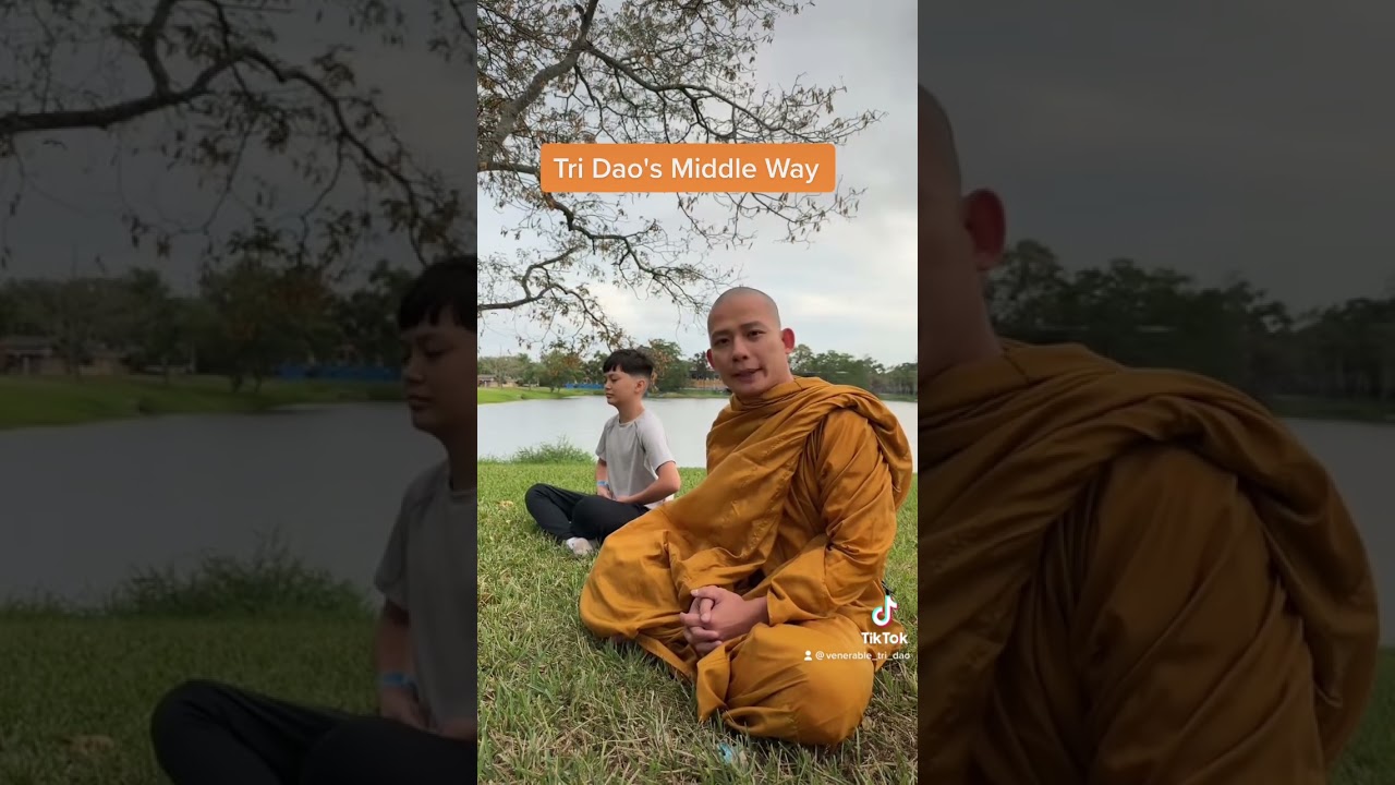 Tri Dao's Middle Way #meditation #spirituality #mindfulness #theravada #buddhism #buddhist