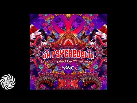 Tristan and Raja Ram - The Beautiful Garden {FREE DOWNLOAD from nanomusic.net}