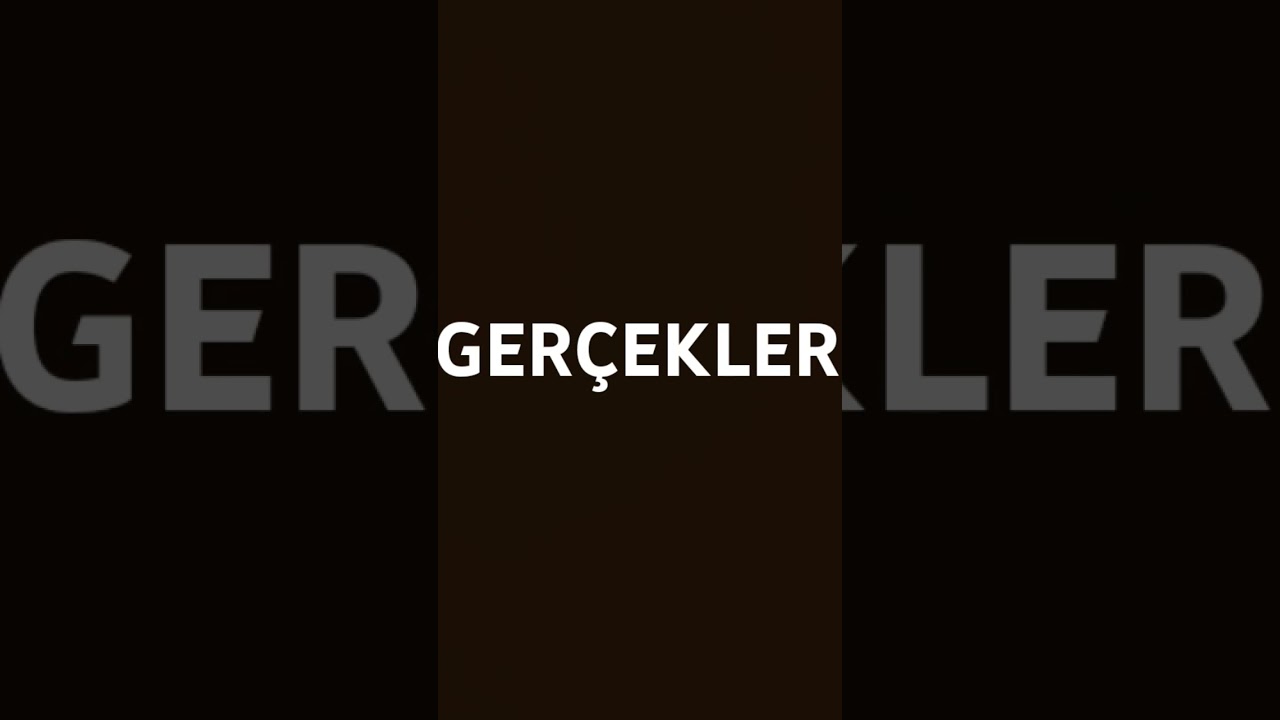 TRT ÇOCUK / CİLLE / 36. BÖLÜM
