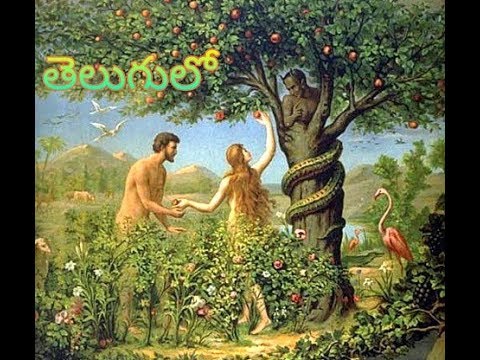 #TrueBible presents / Adamu avva Bible story తెలుగు for kids / do subscribe