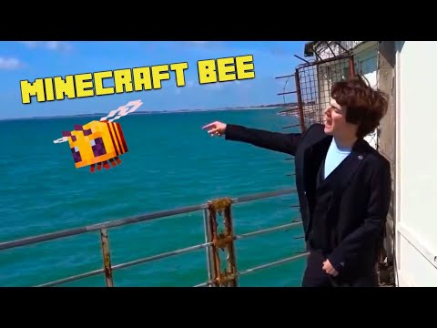Tubbo - Minecraft Bee (Life by the Sea YTP)