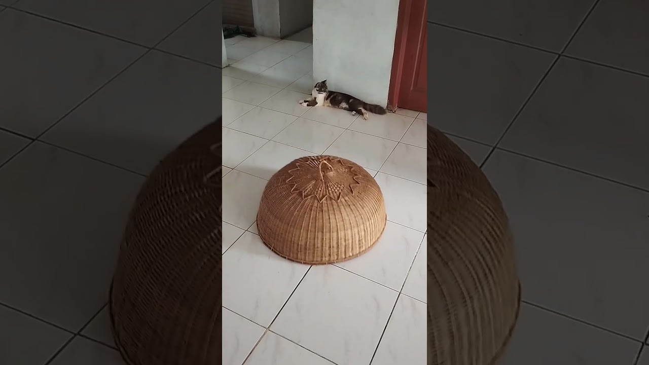 Tudung berjalan