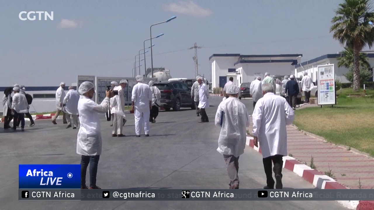 Tunisia's milk production hits new lows, farmers, dairy plants lose money