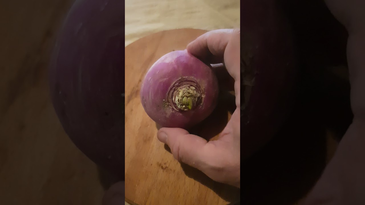 Turnip : What are its medicinal properties ?