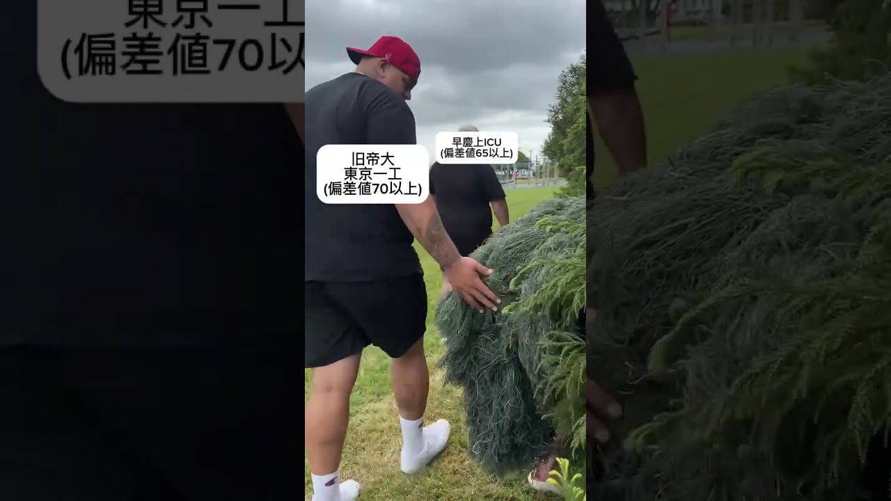 京都大学落ち】同志社大学あるある　#わかってtv #同志社大学 #明治大学 #大学生 #大学受験 #学歴