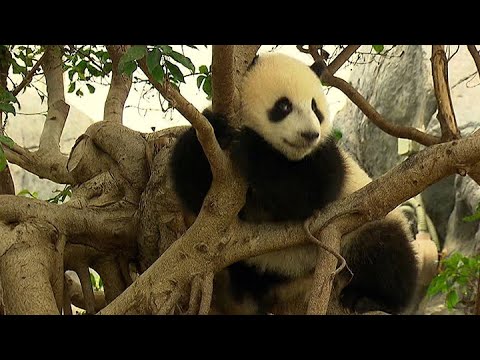TVB News at 7:30｜27 May 2025｜HONG KONG English Latest NEWS