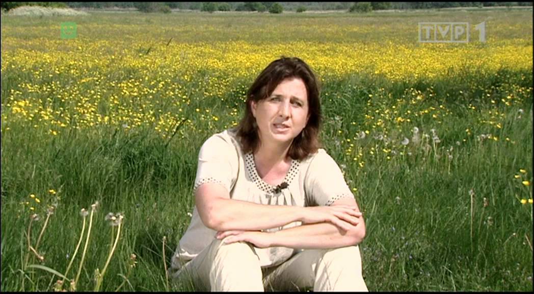 TVP1 Agrobiznes 29052012 1230