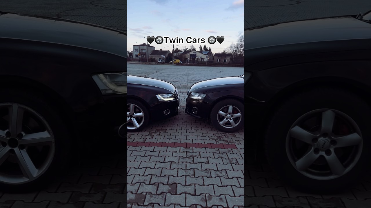 Twerk 🛞 #reels #shorts #car #music #audi #twincars #юмор #музыка #машина