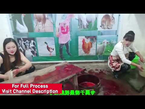 Two Beautiful Women after Slaughtering pig | Lady slaughter pig