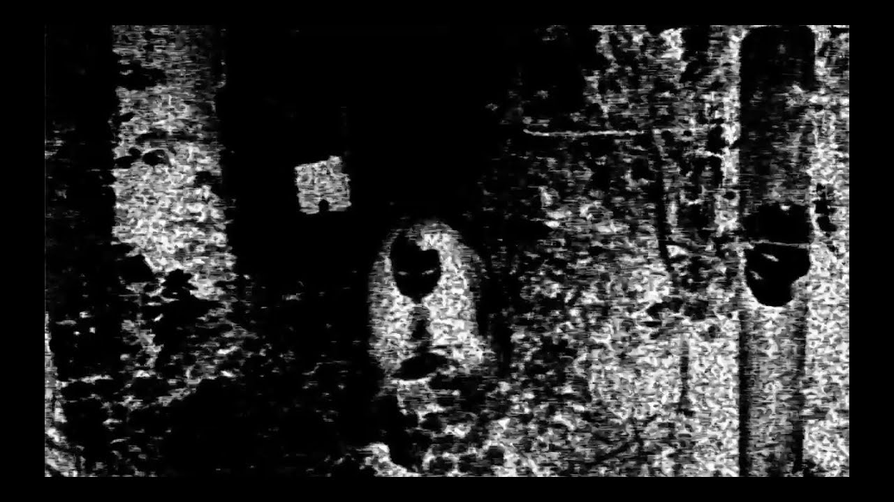 $UICIDEBOY$ - EXODUS