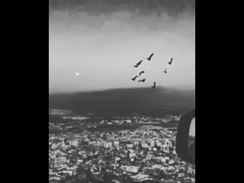 Uçmak istedim