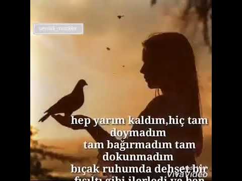 Uçmak istedim kuş olamadım açmak isterim yar olmaz