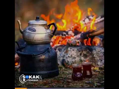 Uçmak istedim