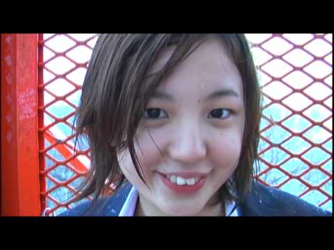 umbrella - cover - featuring Sakura Aida