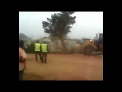 Un arbre jugé être le nid de sorciers tente d’être déraciné regardez ce qui va se passer
