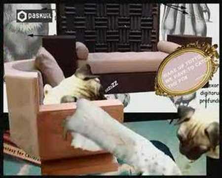 UND - Fox in the box
