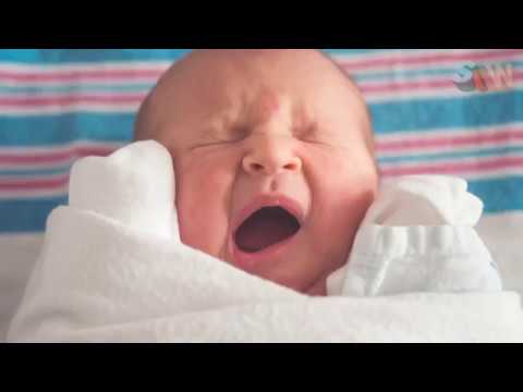 Understanding Your Baby - The Guide!