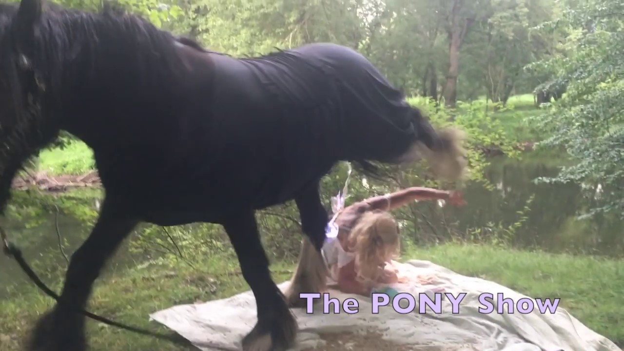 Unicorn steps on Fairy! Wear a Helmet!, @theponyshow #horse #helmet #horses #horsegirl