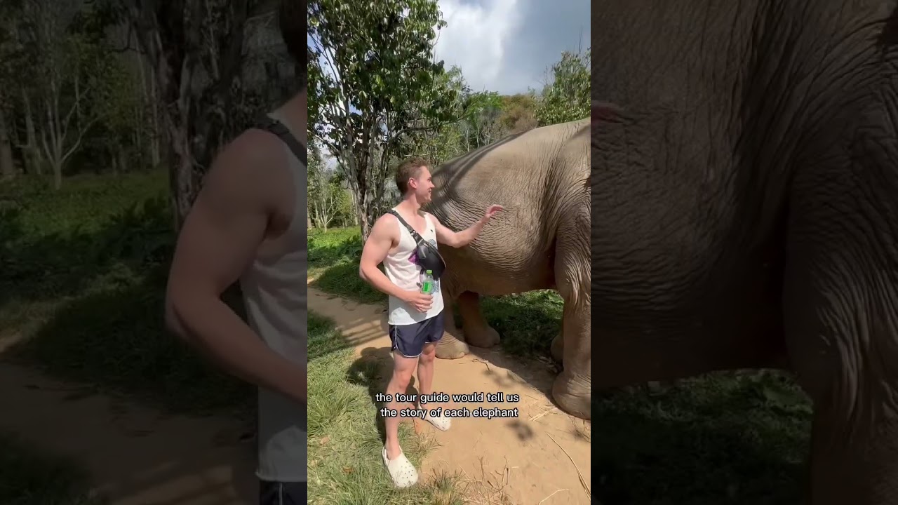 Unique thing to do in Thailand 🇹🇭 #1