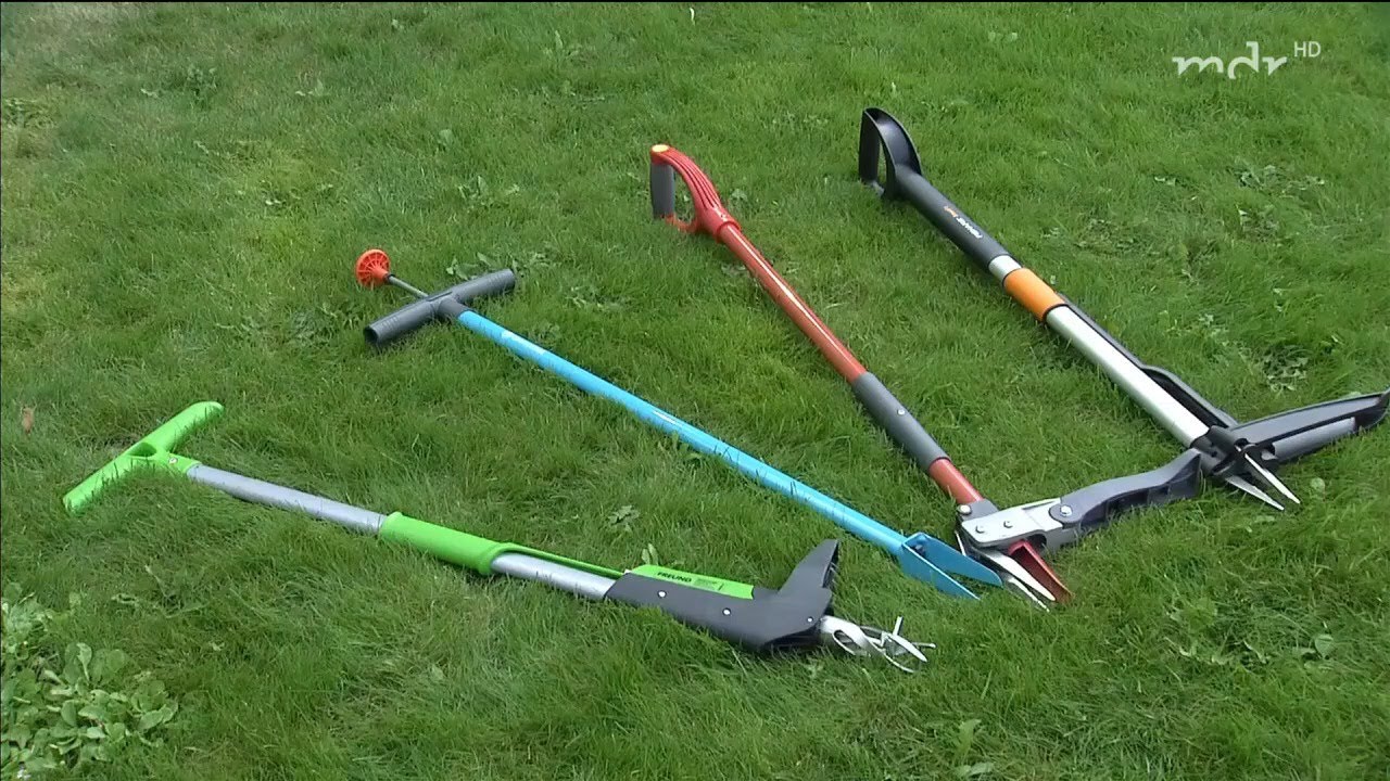 Unkrautstecher im Vergleich | MDR Garten