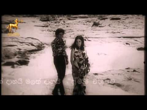 Unnath Dahai Malath Dahai | Ran Dunu Hee Dara | Vijaya Kumaranatunga, Malini Fonseka