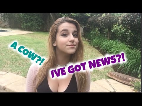 UPDATE #2