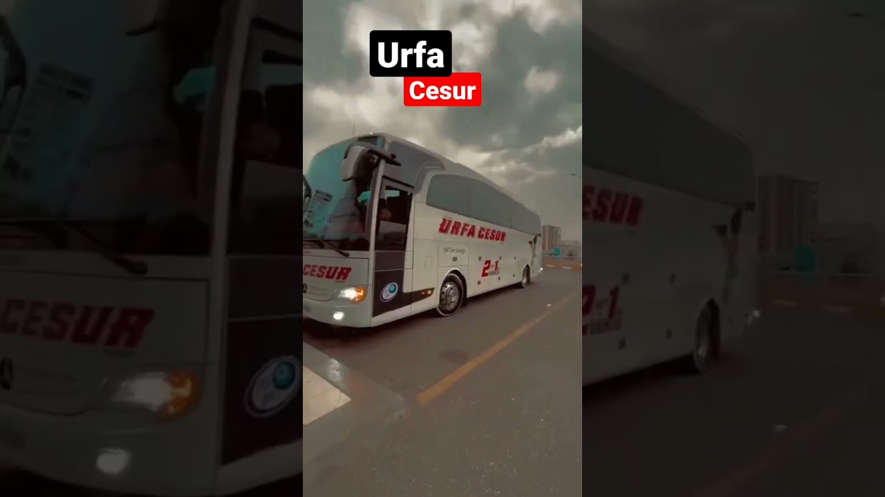 Urfa Cesur 🦅 #shorts #otobüs #otobüsvideoları #tiktok #travego #arabasnapleri #arabasnap #snap