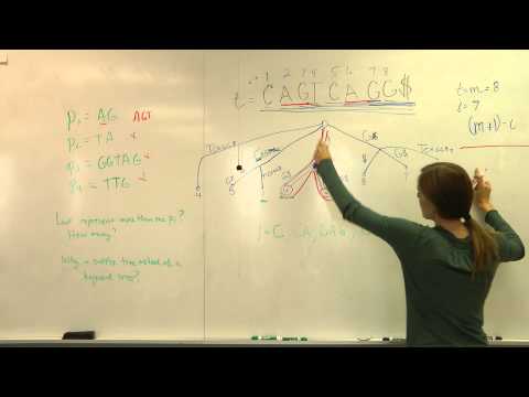 Using the Suffix Tree - Conceptually