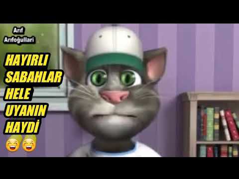 uyandırma servisi tom
