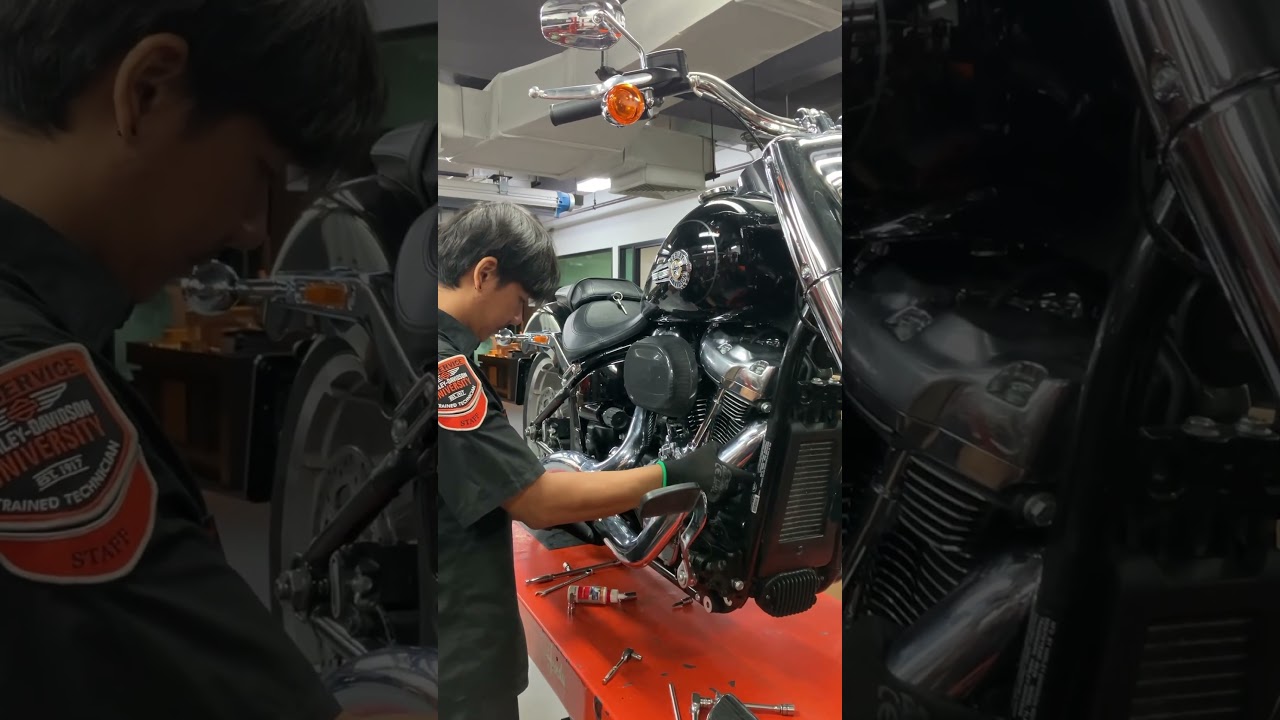 vance and hines big radius 2-into-2 #harleydavidson #harley #hd #exhaust #vanceandhines #fatboy