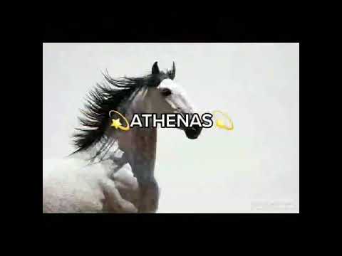 vídeo para estatus de  nomes para égua