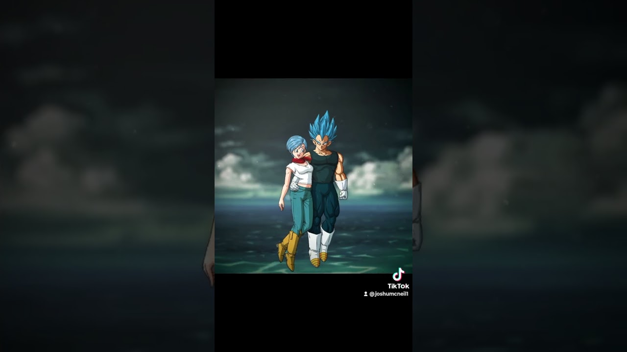 Vegeta X Bulma!