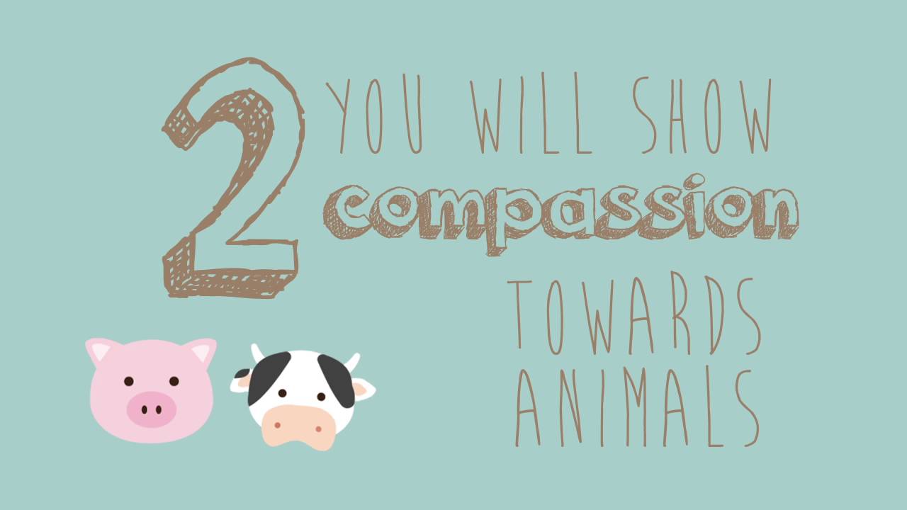 Vegetarian PSA