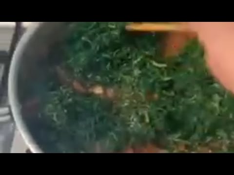 Vegetarian style #highlights@all