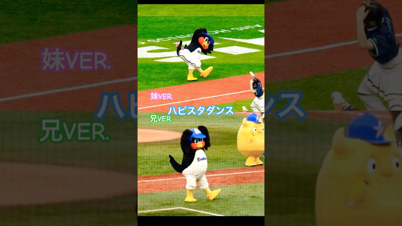 つば九郎もかつては踊ってた！？ハッピースターダンス！！兄妹VER.！！ #swallows #つば九郎 #つばみ #つばみちゃん #ハッピースターダンス #ハピスタダンス #プロ野球