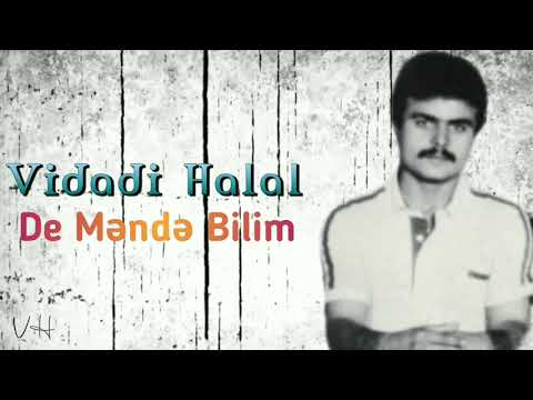 Vidadi Halal - De Mende Bilim (Official Audio) 2021