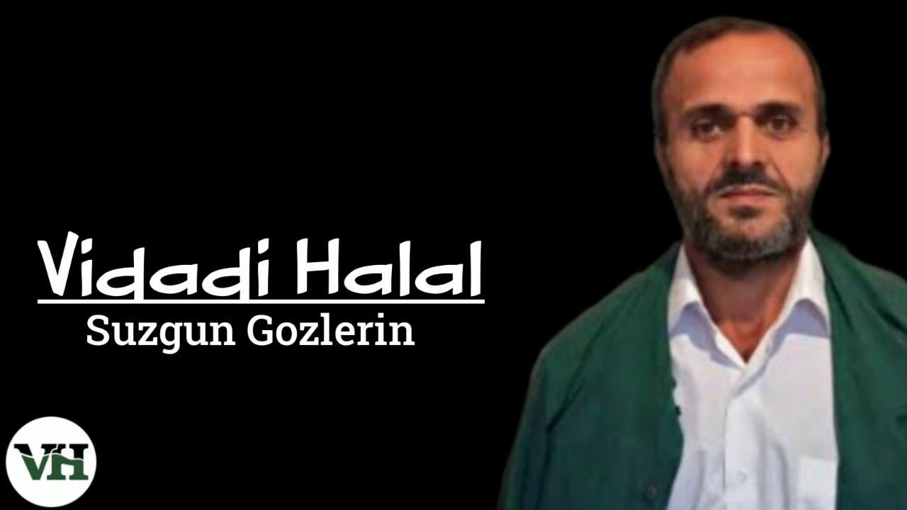 Vidadi Halal - Suzgun Gozlerin (Official Audio)