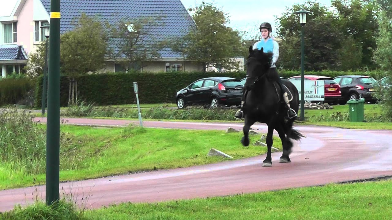 Video Emmie2
