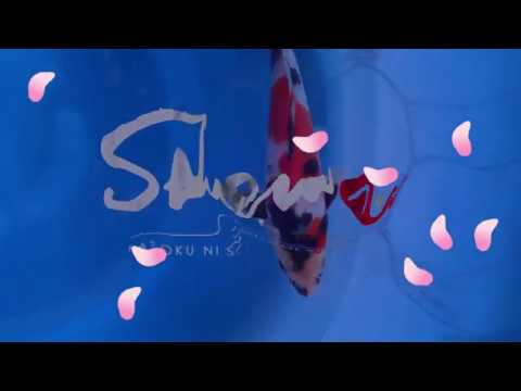 Video SHO 01 0051