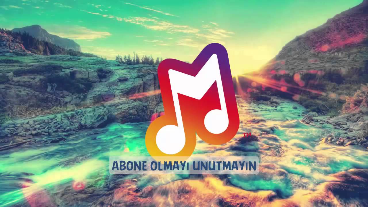 Videoluk şarkı