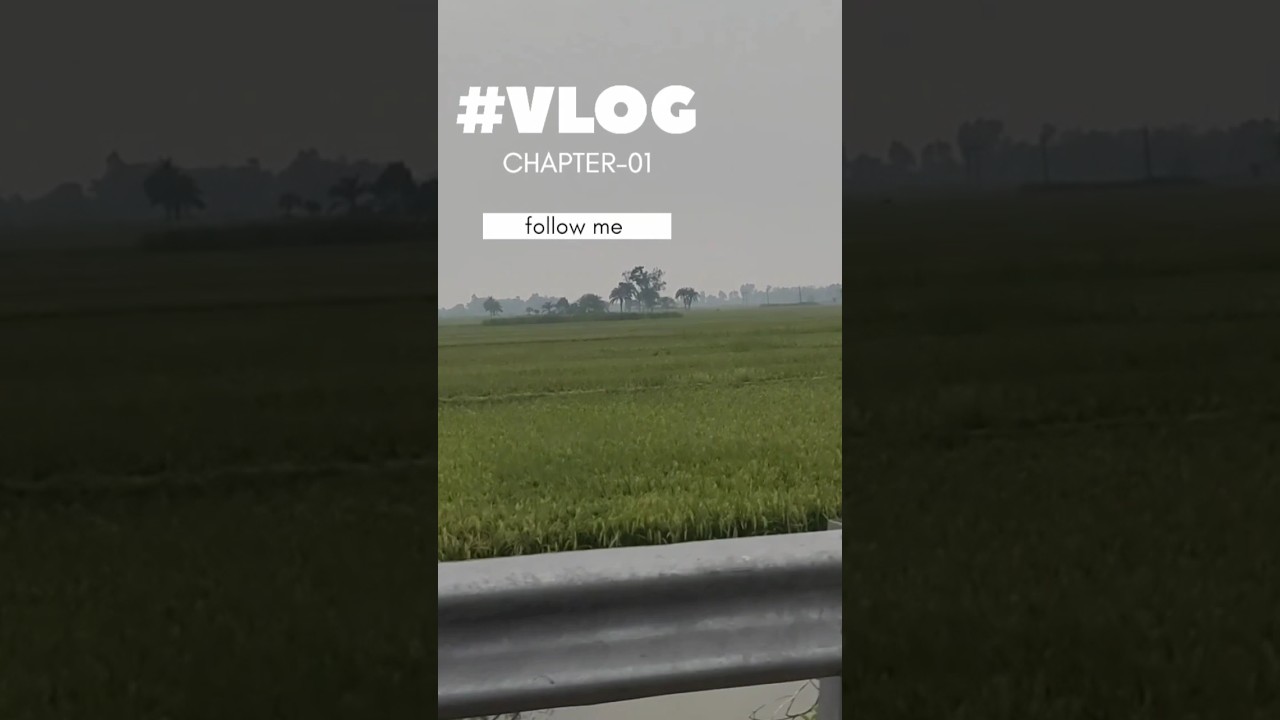 village lifestyle video #villagelife #villagevlog  #shorts