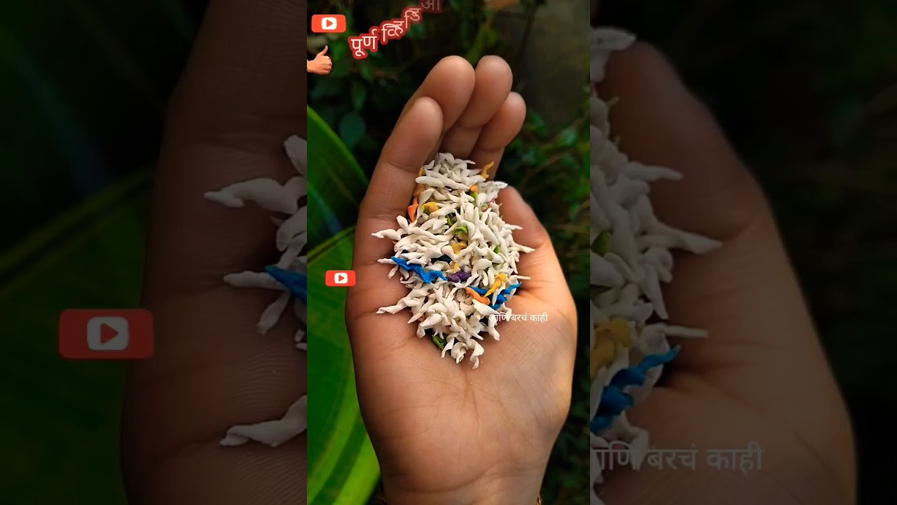 #viral #मालत्या #wedding#maltya #रुखवत#लग्नसराई#rukhwat#lagnSarai#shorts #trending #ytshorts