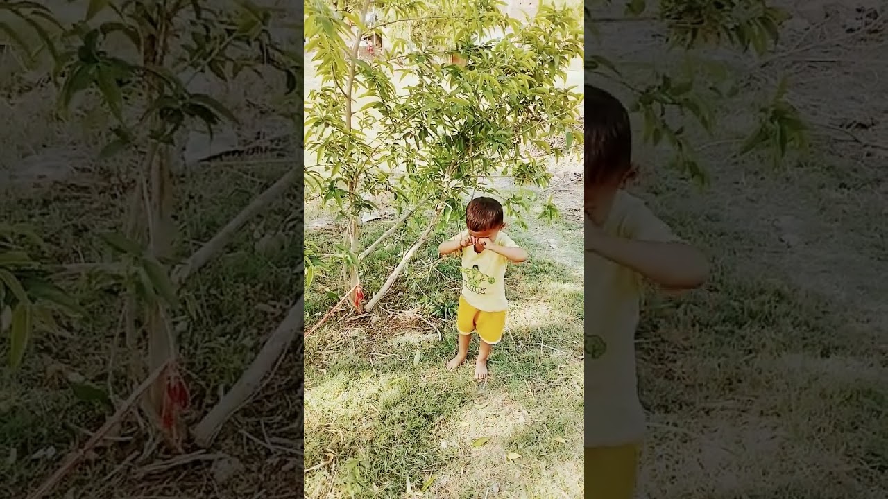 #viral #sorts #video #bhojpurimusic #funny #viral #sumi , जी🙏🙏👍