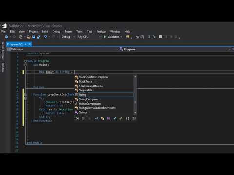 Visual Basic Validation: Integer Type Check
